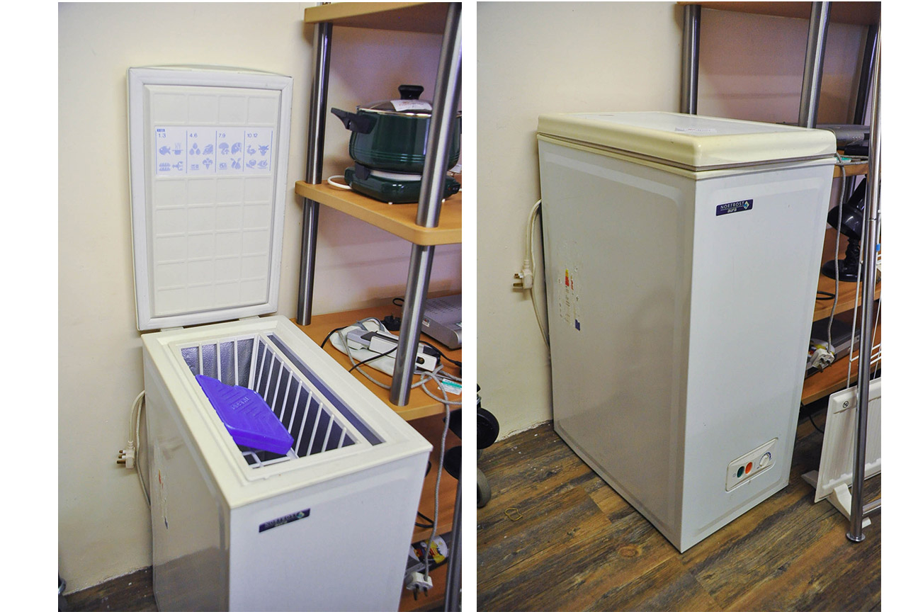 Chest Freezer